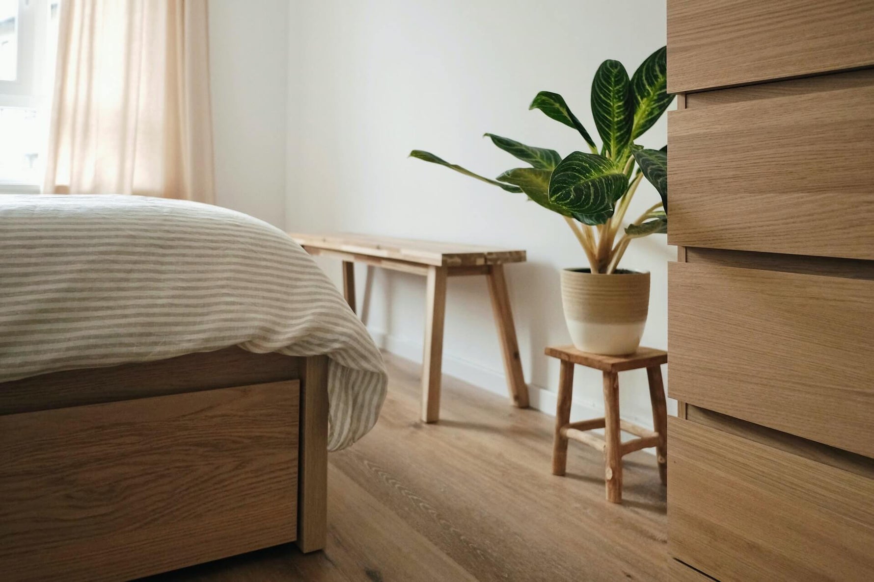 bedroom decor including wooden seat and plant