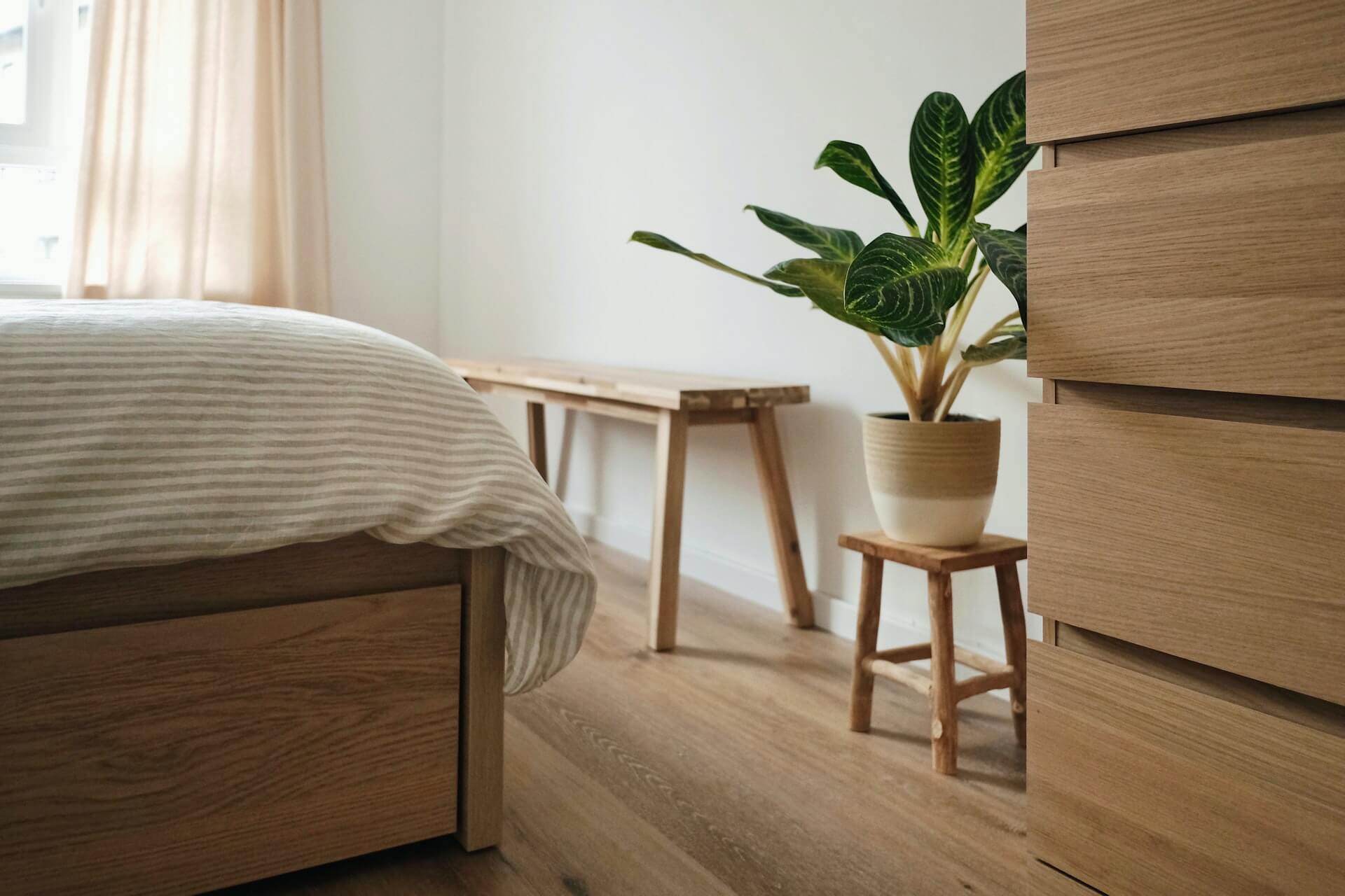 bedroom decor including wooden seat and plant