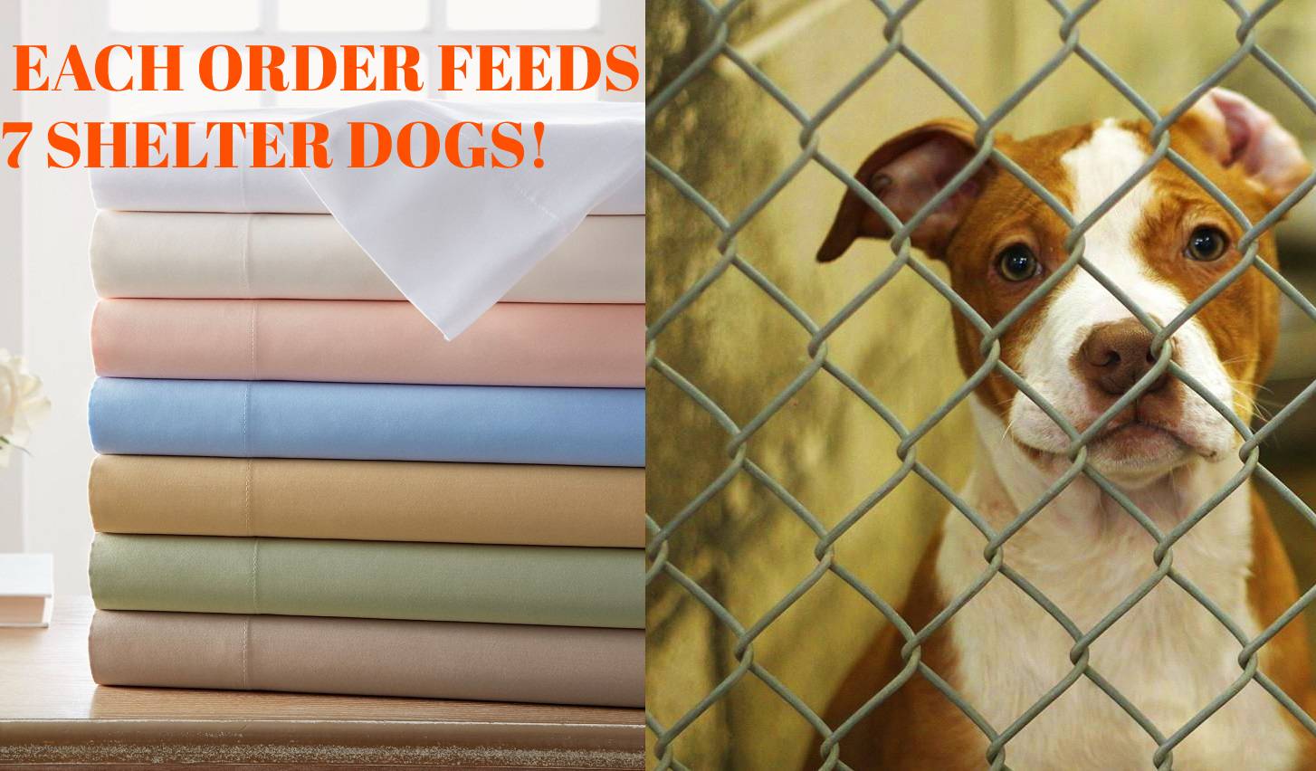 Every Purchase of These Products Feeds 7 Shelter Dogs